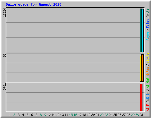 Daily usage for August 2026