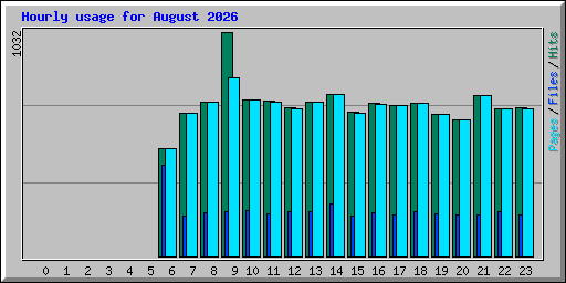 Hourly usage for August 2026